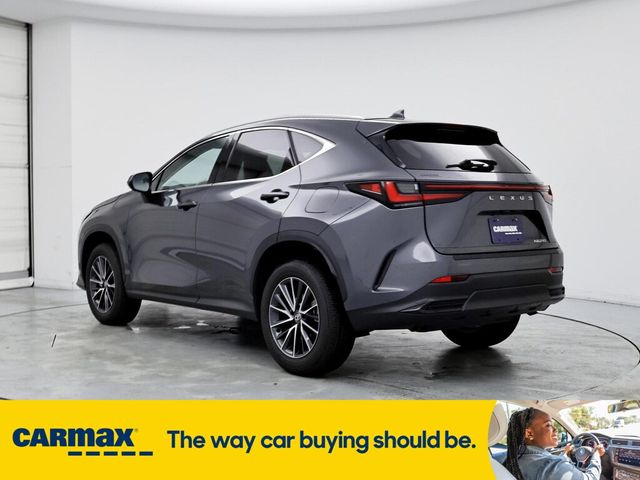 2024 Lexus NX 250