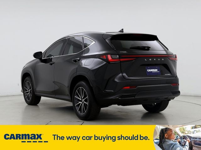 2024 Lexus NX 250