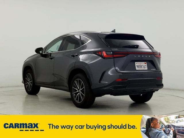 2024 Lexus NX 250