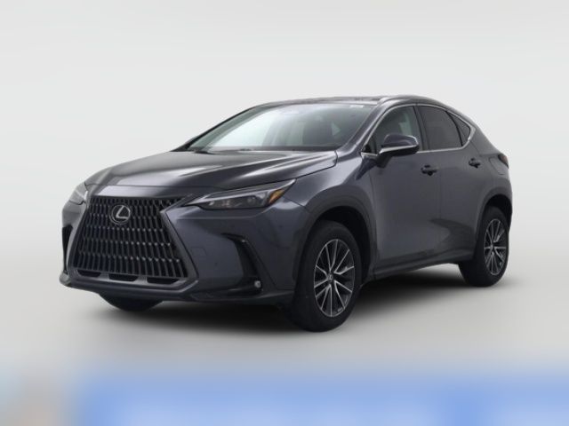 2024 Lexus NX 250 Premium