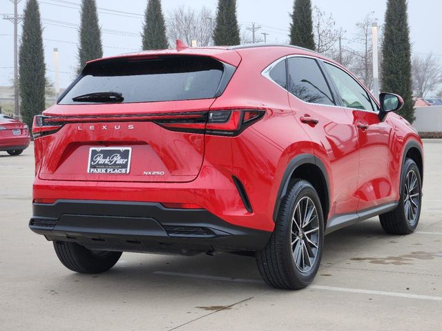 2024 Lexus NX 250 Premium