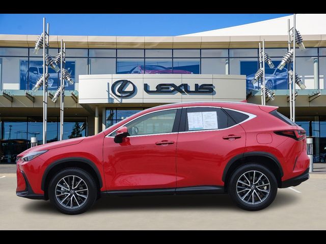 2024 Lexus NX 250 Premium