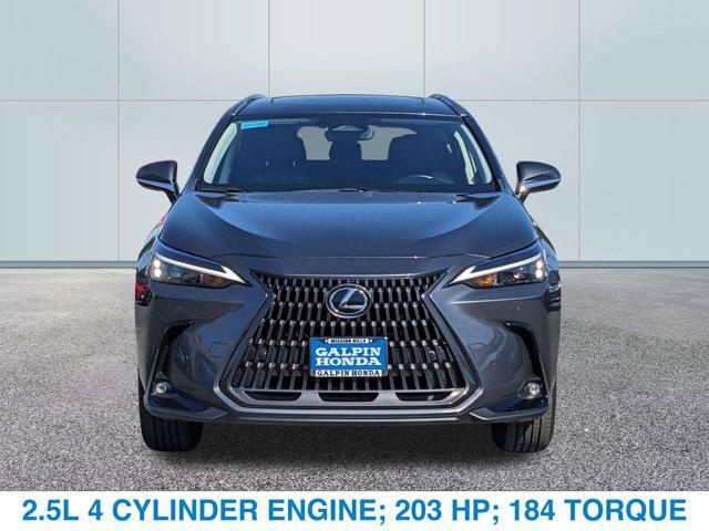 2024 Lexus NX 250 Premium