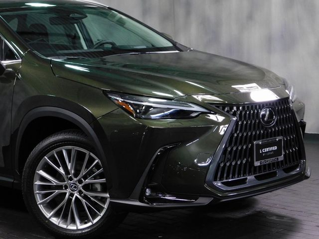 2024 Lexus NX 350 Luxury