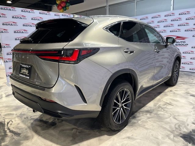 2024 Lexus NX 350