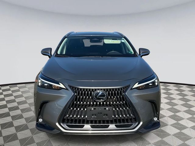 2024 Lexus NX 350