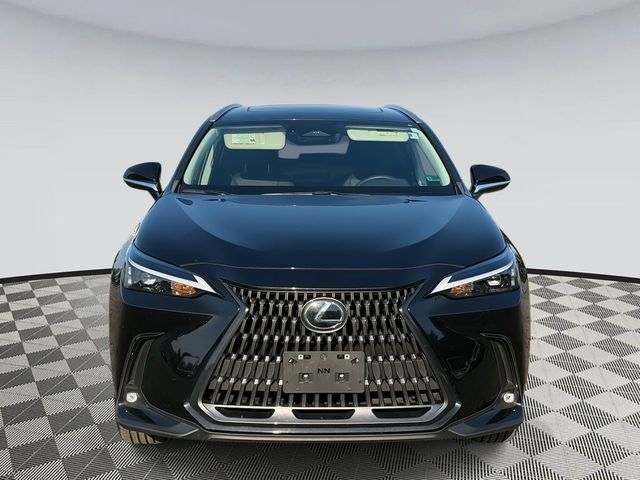 2024 Lexus NX 350