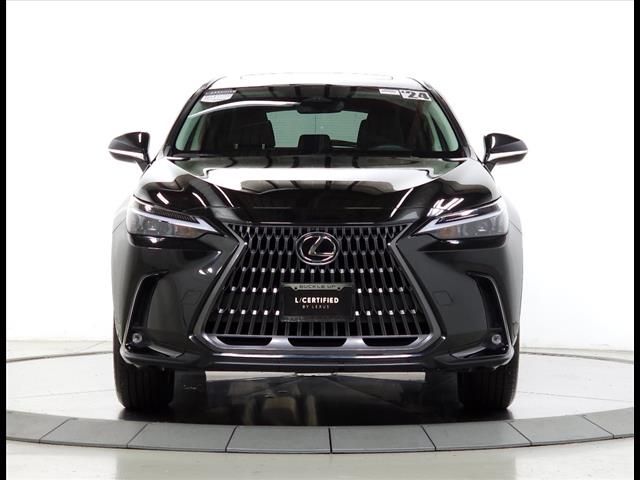 2024 Lexus NX 350