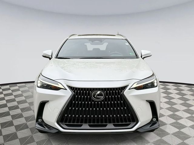 2024 Lexus NX 350