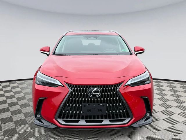 2024 Lexus NX 350 Luxury
