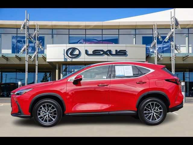 2024 Lexus NX 350 Luxury