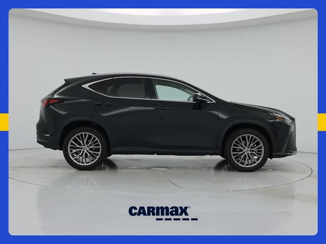 2024 Lexus NX 350 Luxury