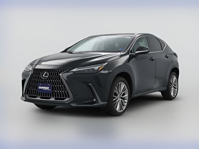 2024 Lexus NX 350 Luxury