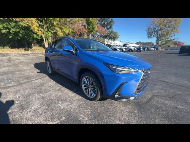 2024 Lexus NX 350 Luxury