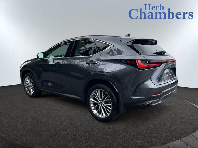 2024 Lexus NX 350 Luxury