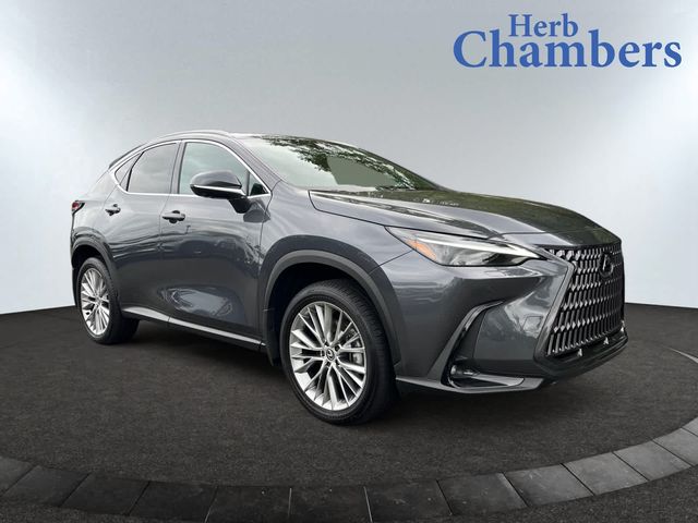 2024 Lexus NX 350 Luxury