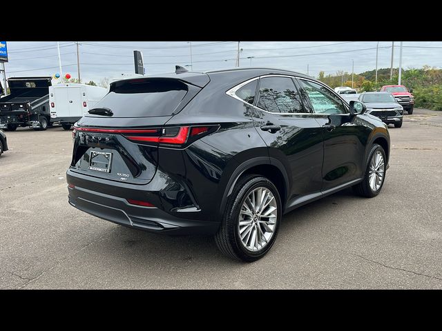 2024 Lexus NX 350 Luxury