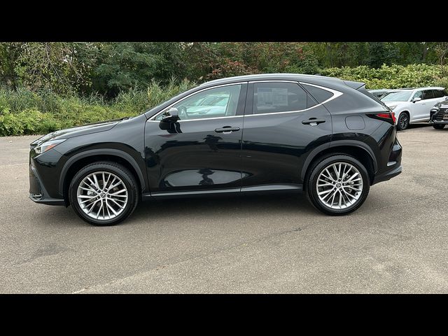 2024 Lexus NX 350 Luxury