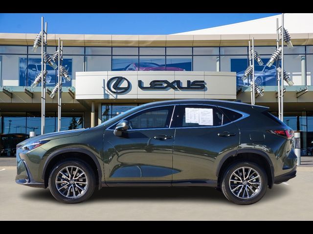 2024 Lexus NX 350 Luxury