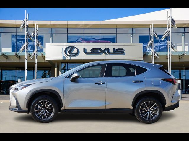 2024 Lexus NX 350 Premium