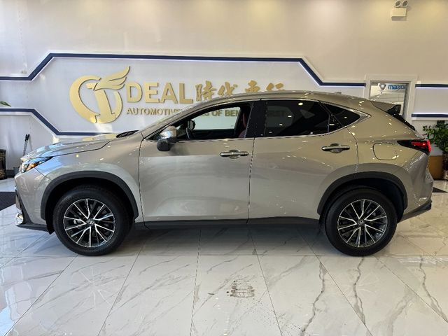 2024 Lexus NX 350 Premium