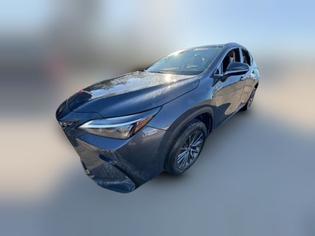 2024 Lexus NX 350 Premium