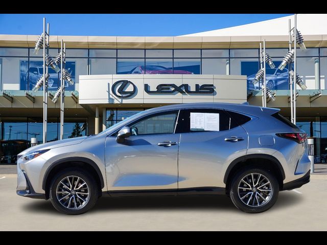 2024 Lexus NX 350 Premium