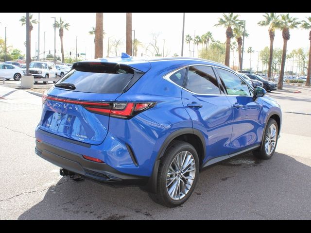 2024 Lexus NX 350h Luxury