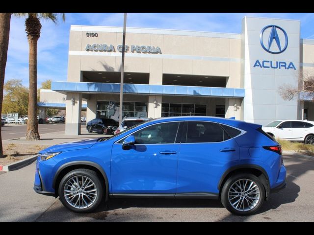 2024 Lexus NX 350h Luxury