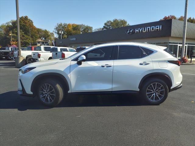 2024 Lexus NX 350h Premium