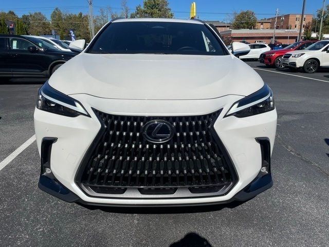 2024 Lexus NX 350h Premium