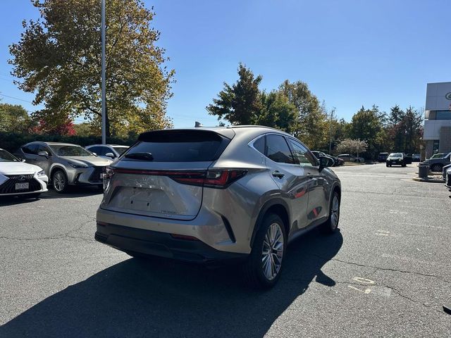 2024 Lexus NX 350h Luxury