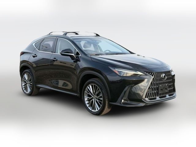2024 Lexus NX 350h Luxury