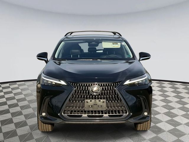 2024 Lexus NX 350h Luxury