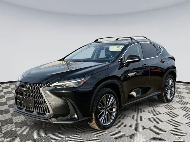 2024 Lexus NX 350h Luxury