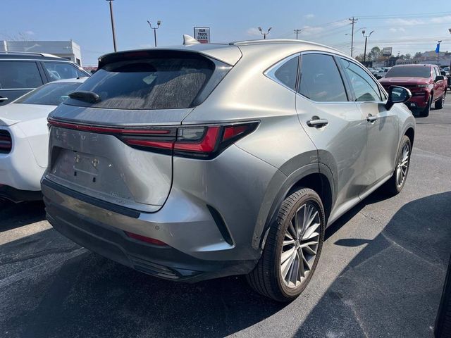 2024 Lexus NX 350h Luxury