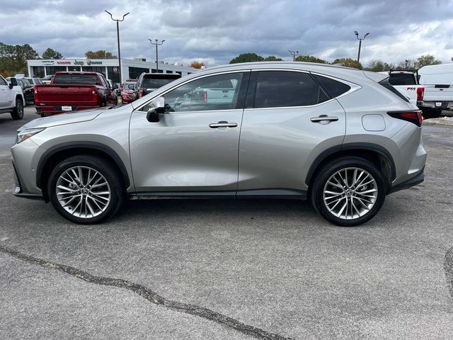 2024 Lexus NX 350h Luxury