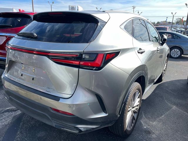 2024 Lexus NX 350h Luxury