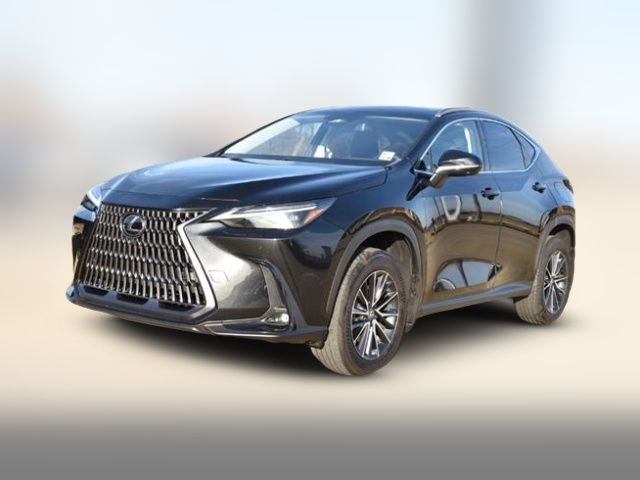 2024 Lexus NX 350h Luxury