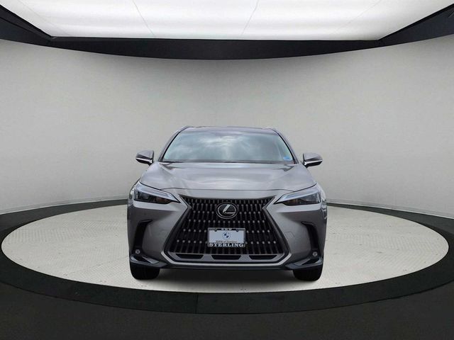 2024 Lexus NX 350h Premium