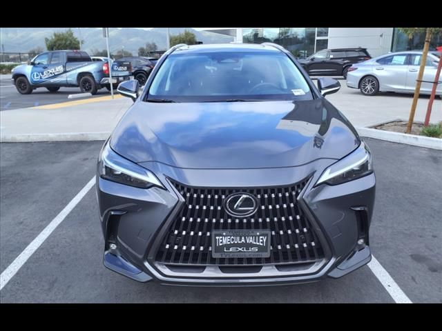 2024 Lexus NX 350h Premium