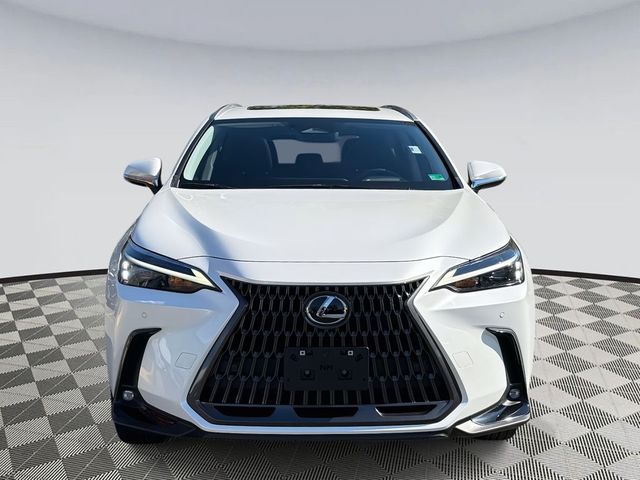 2024 Lexus NX 350h Premium