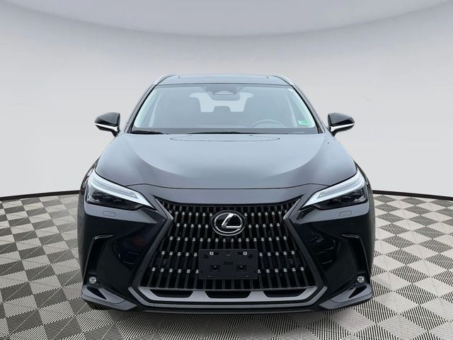 2024 Lexus NX 450h+ Luxury