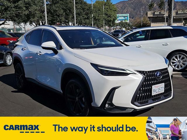 2024 Lexus NX 450h+ Luxury