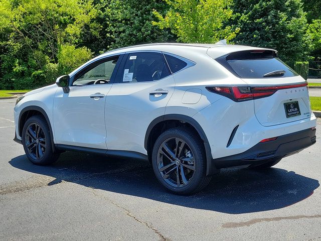 2024 Lexus NX 450h+ Luxury