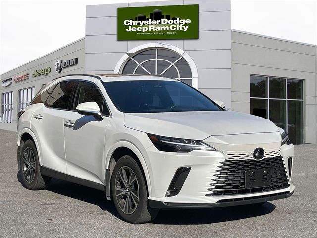 2024 Lexus RX 