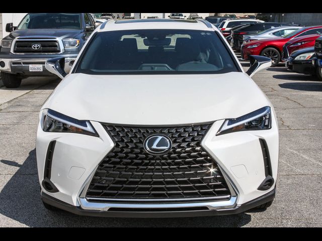 2024 Lexus UX 250h