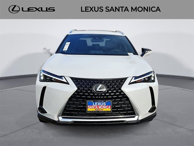 2024 Lexus UX 250h