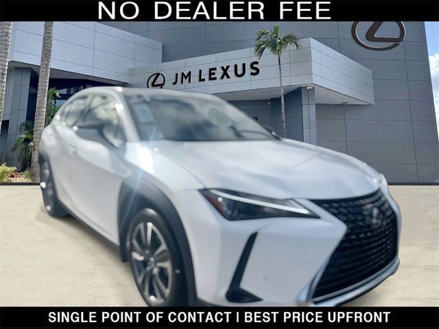 2024 Lexus UX 250h