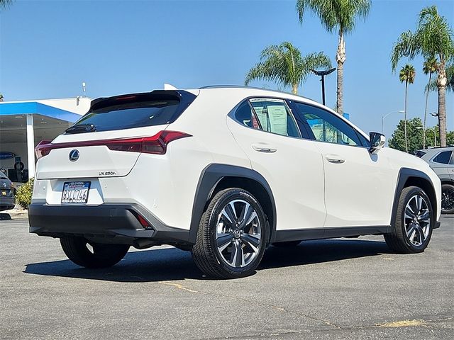 2024 Lexus UX 250h